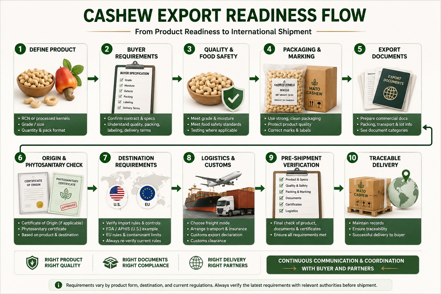 Conceptual cashew export-readiness flow from defining the product and buyer requirements through quality, packaging, documents, destination checks, logistics, and traceable delivery.
