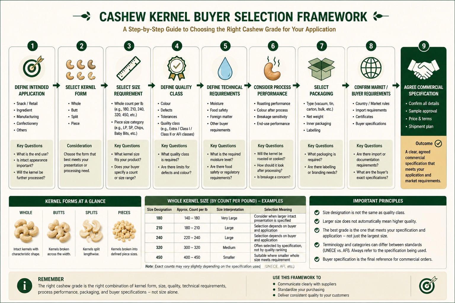 Conceptual buyer-selection flow for choosing a cashew commercial specification from intended application through kernel form, size, quality, technical requirements, processing performance, packaging, and buyer or market requirements.