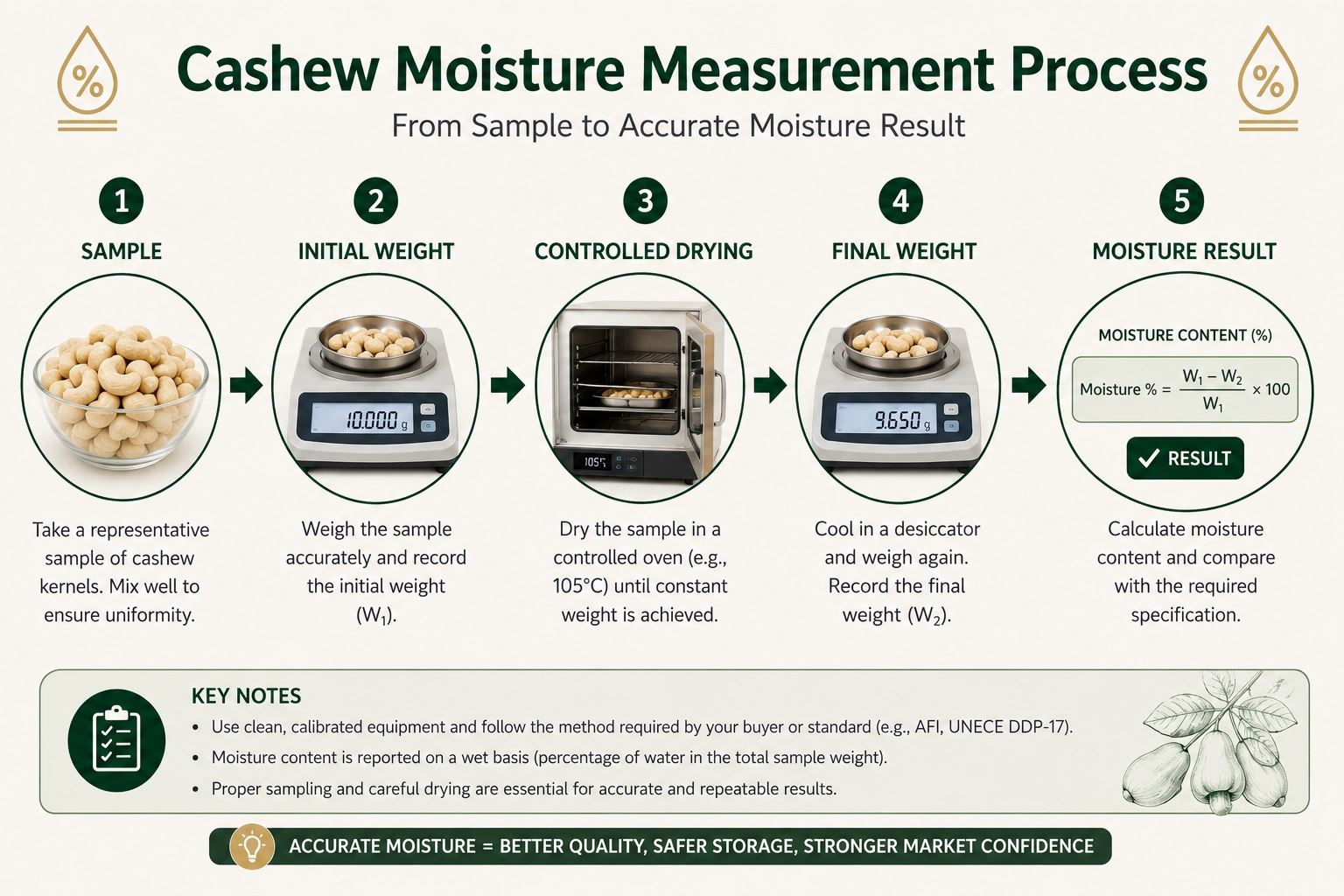 Conceptual loss-on-drying workflow for measuring moisture in cashew kernels.