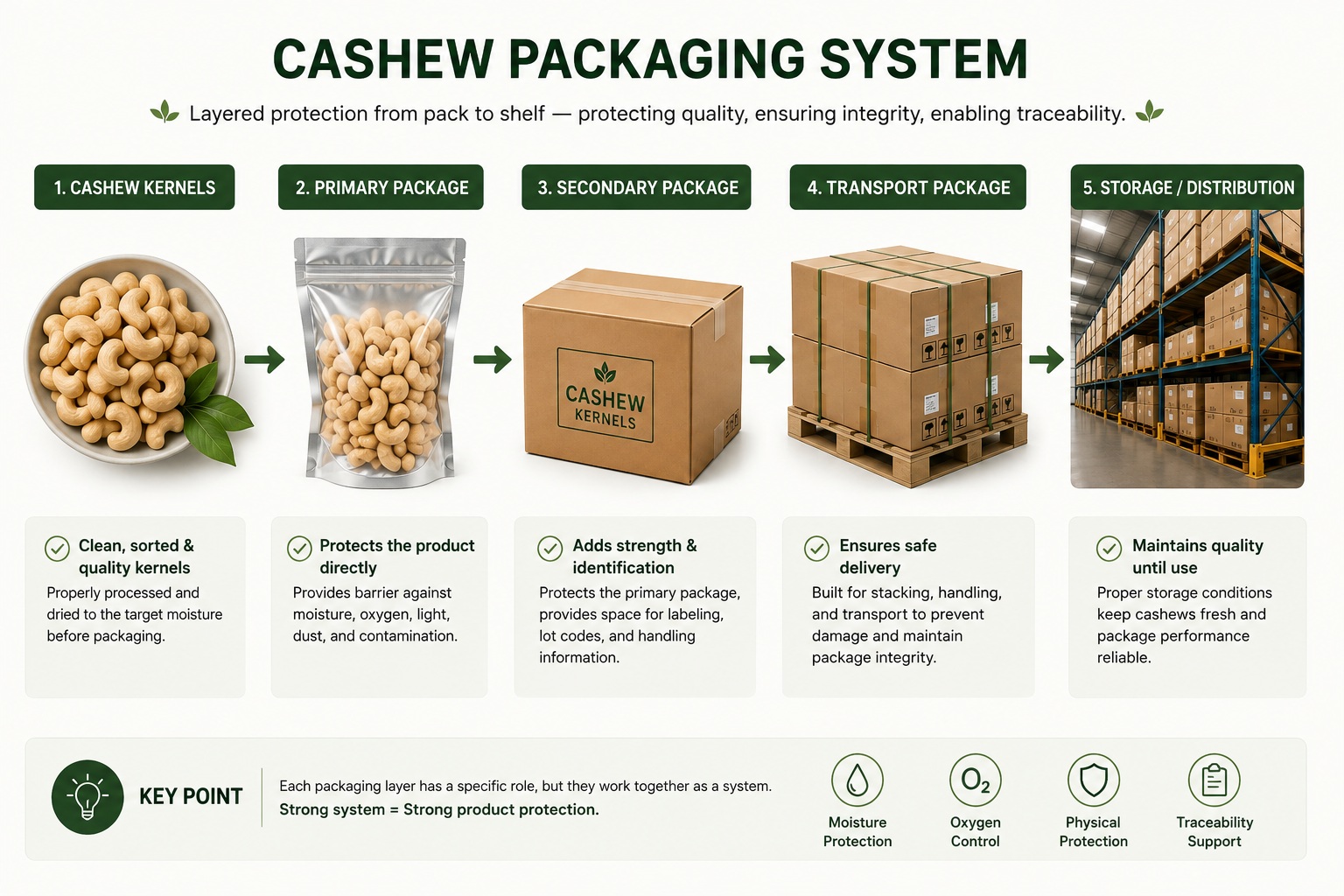 Conceptual cashew packaging system from kernels through primary, secondary, and transport packaging to storage and distribution.
