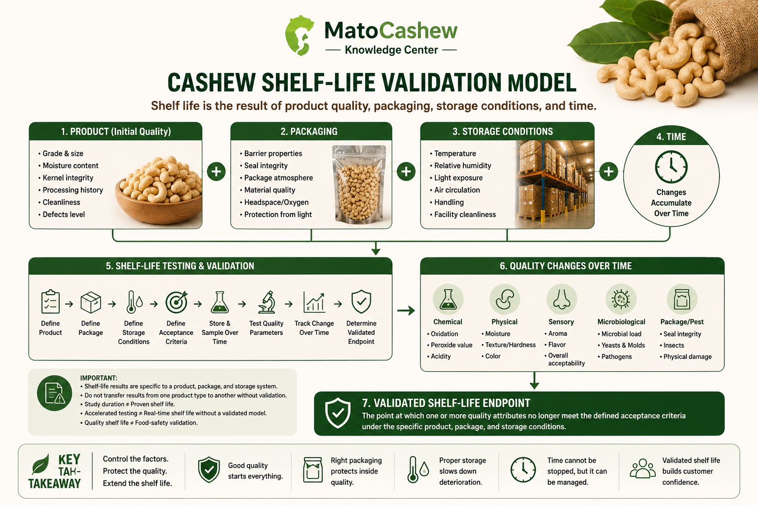Conceptual cashew shelf-life validation workflow from defining the product and package through storage, testing, quality tracking, and determining a validated endpoint.