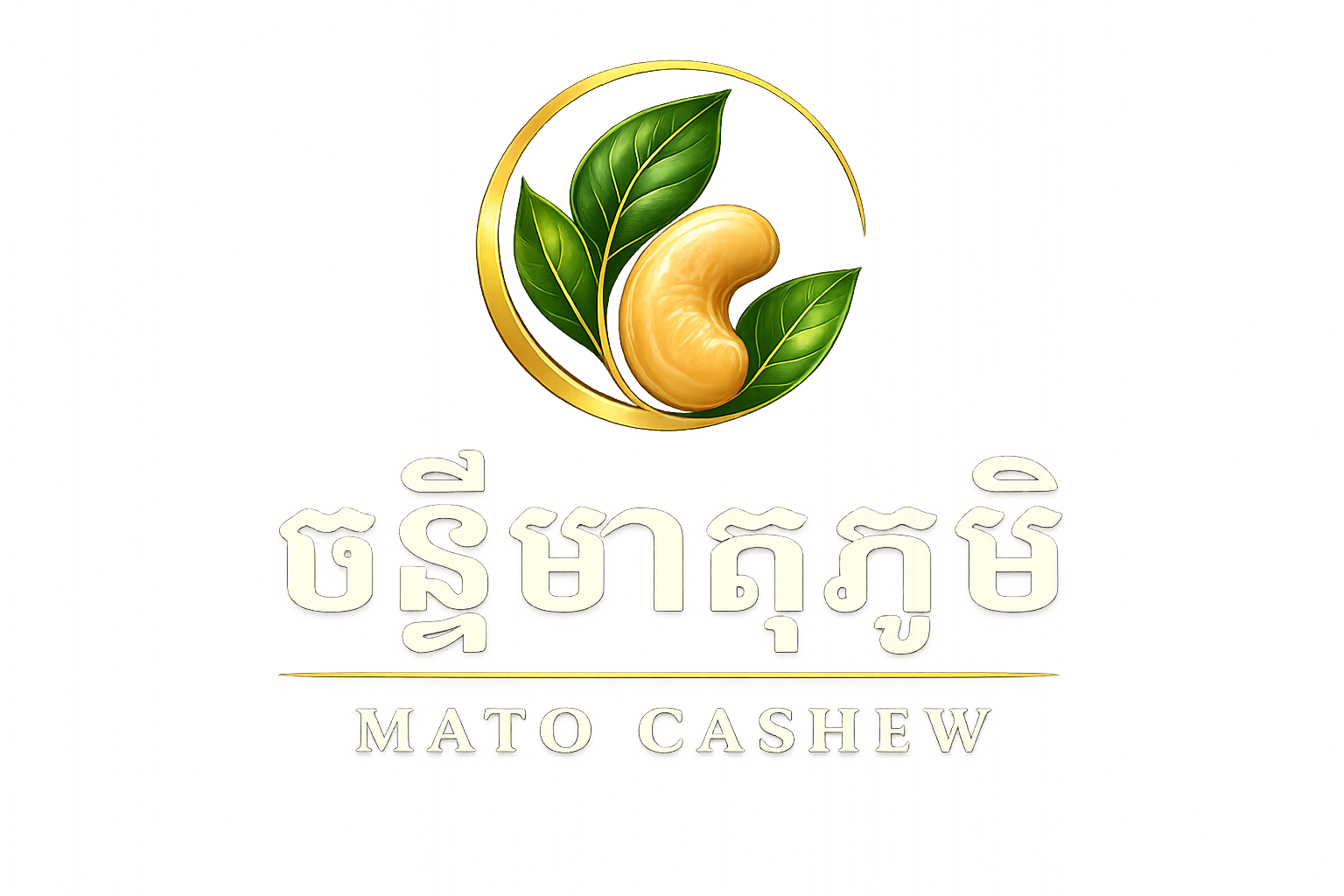 ចន្ទីមាតុភូមិ — Mato Cashew